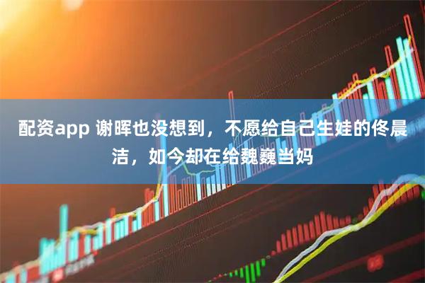 配资app 谢晖也没想到，不愿给自己生娃的佟晨洁，如今却在给魏巍当妈